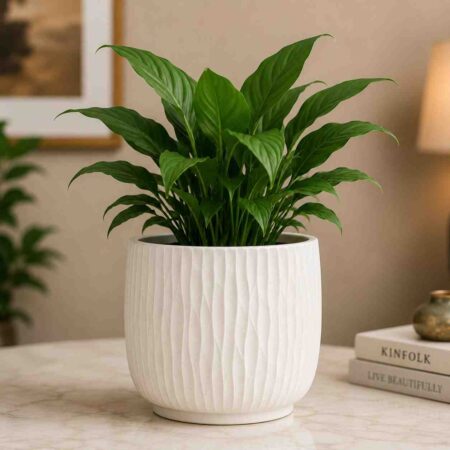 Premium Ceramic Indoor Plant Pot